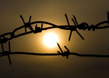 «Колымские рассказы» Шаламова: исповедь лагерной пыли или свидетельство неиссякаемой надежды