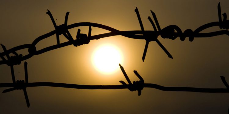 «Колымские рассказы» Шаламова: исповедь лагерной пыли или свидетельство неиссякаемой надежды