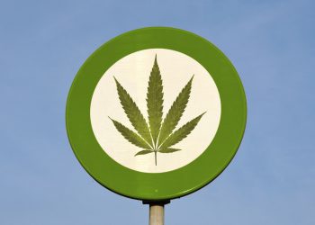 Легализация марихуаны в Колорадо могла увеличить количество бездомной молодежи