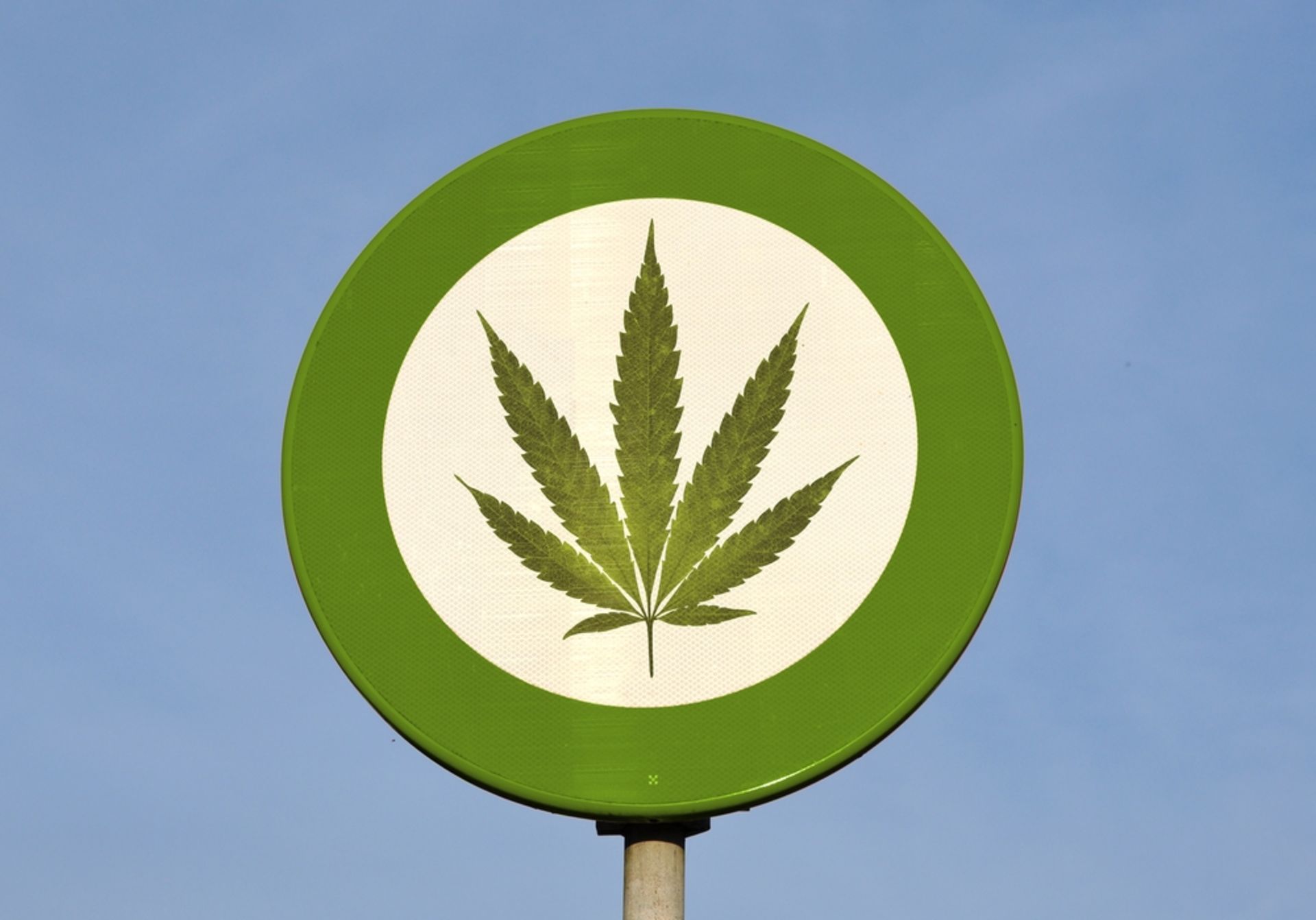 Колорадо легализовали марихуану tor browser web гидра
