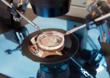 Администрация Трампа требует прекратить эксперименты по созданию детей от трех родителей