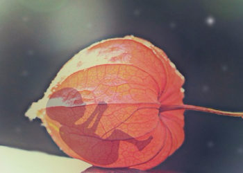 Слоган «мое тело, мой выбор» устарел