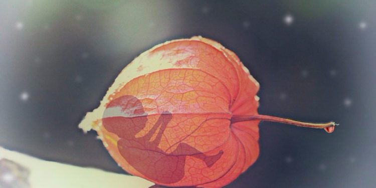 Слоган «мое тело, мой выбор» устарел