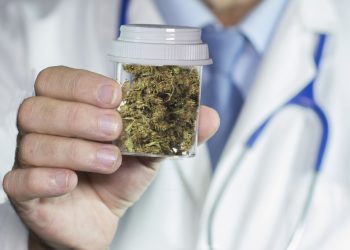 Уругвайцам разрешили лечиться марихуаной