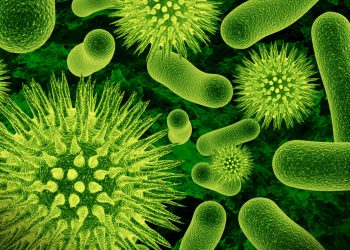 33 предмета, которые намного грязнее вашего унитаза