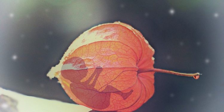 Спикер в ООН: каждый из нас «начал жизнь как эмбрион»