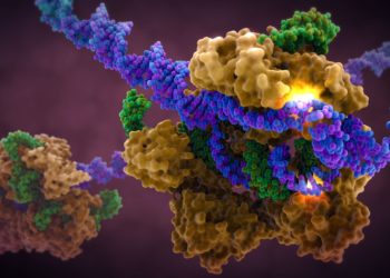 Китай ― будущее генетического апгрейда