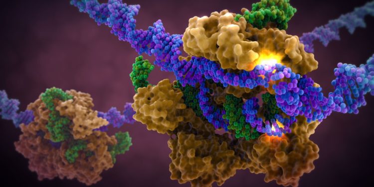 Китай ― будущее генетического апгрейда