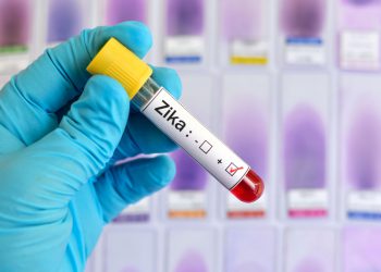 В ООН призвали католические страны легализовать аборты на фоне эпидемии Зика