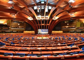 Совет Европы отверг доводы в пользу легализации суррогатного материнства