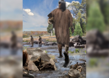 Самому старому следу человека в Америке 15600 лет