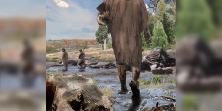 Самому старому следу человека в Америке 15600 лет