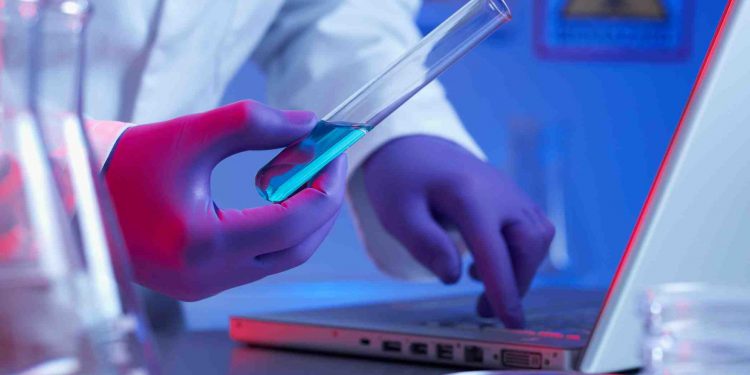 Этично ли выращивать человеческие органы в организме животных?