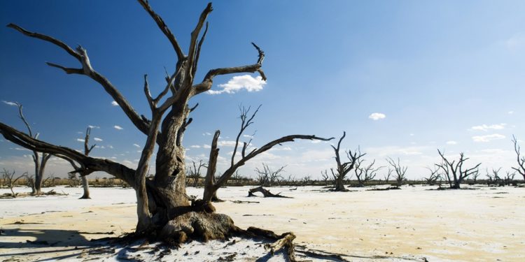 ООН давит на Ватикан под прикрытием экологической повестки дня