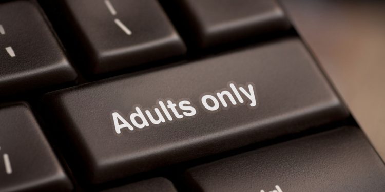 Мизулина предложила ввести тотальную фильтрацию «взрослого» интернета