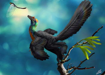 Ученые нашли маленького радужного динозавра