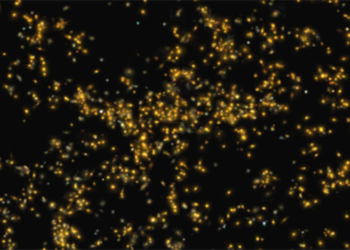 Индийские ученые открыли колоссальное скопление галактик во Вселенной