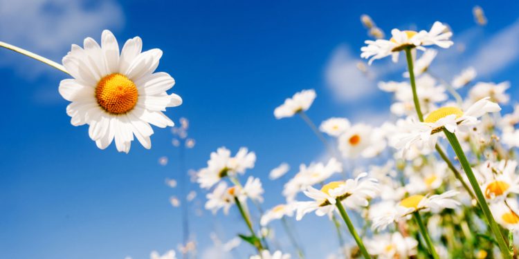 Исследование: Красота в глазах смотрящего?