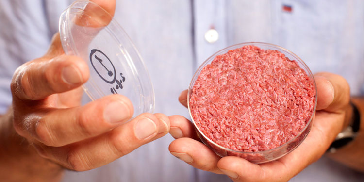 Без мяса и сахара: ученые назвали главные тренды в науке о питании