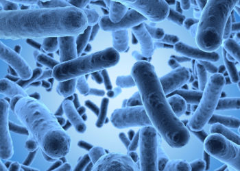 Ежегодный рост новых инфекций и вирусов. Есть ли выход?