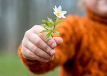 Брать или отдавать? Новый взгляд на психологию отношений