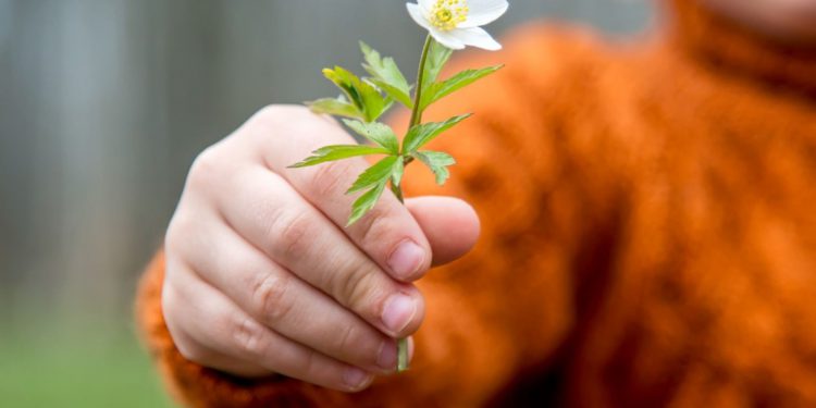 Брать или отдавать? Новый взгляд на психологию отношений