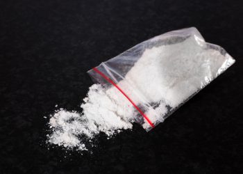 Закон о запрете спайсов одобрен Советом Федерации