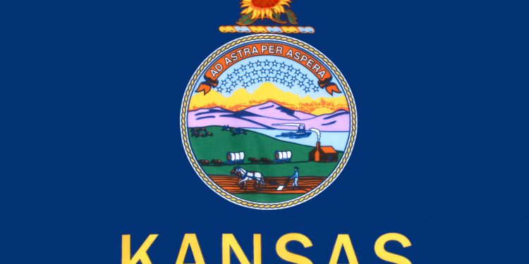 Верховный суд Канзаса решит, является ли право на аборт «фундаментальным»