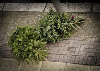 Настоящая война с Рождеством. Гораздо серьёзнее, чем вы думаете