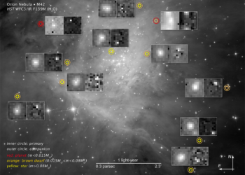 Астрофизики нашли в Туманности Ориона самую большую популяцию загадочных космических объектов
