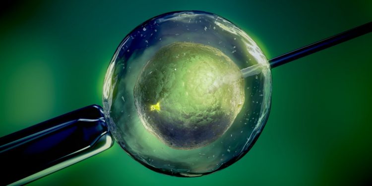 Польша лишает финансирования программы экстракорпорального оплодотворения