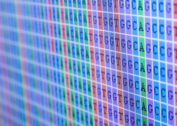 Учёные из РФ открыли метод более эффективного изучения микробиоты человека