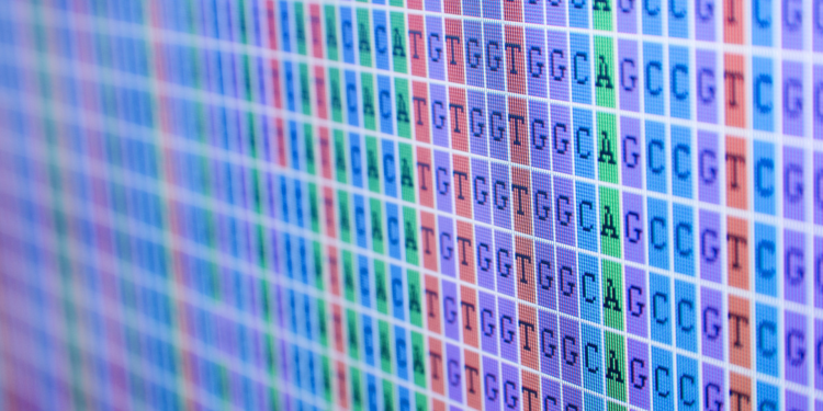 Учёные из РФ открыли метод более эффективного изучения микробиоты человека