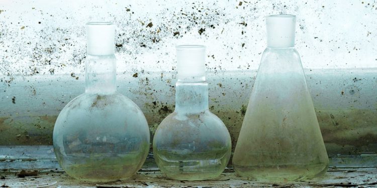 «Российская наука на грани выживания», — заместитель президента РАН