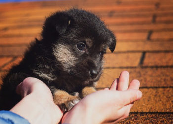 Почему хорошо быть добрым или эволюционная загадка доброты