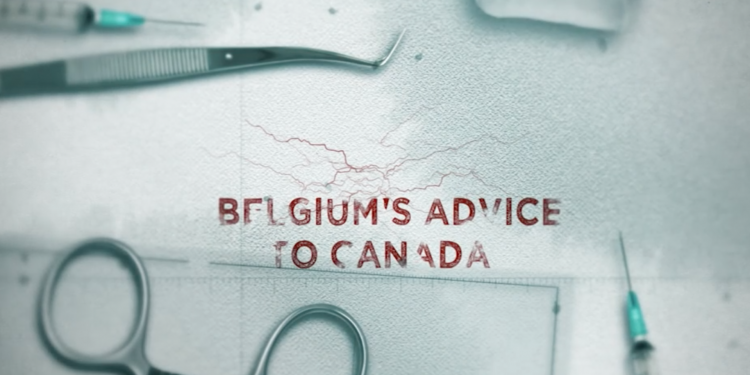 Подводные камни эвтаназии: предупреждение из Бельгии