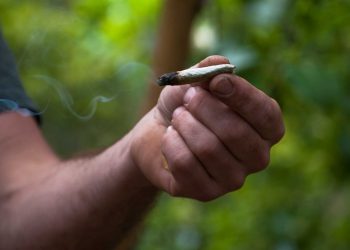 Победа «большой марихуаны» – большое поражение для всех