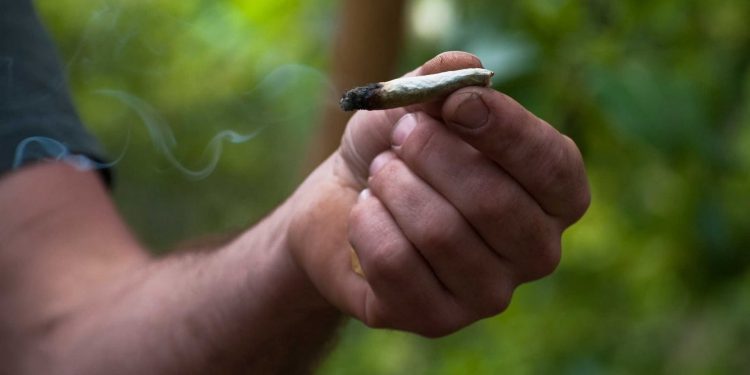 Победа «большой марихуаны» – большое поражение для всех