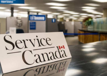 Правительство Канады запретило слова «мать» и «отец», чтобы не обижать трансгендеров