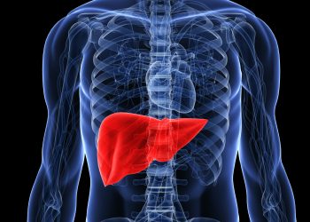 Российские ученые доказали способность терпенов пихты сибирской восстанавливать и защищать клетки печени