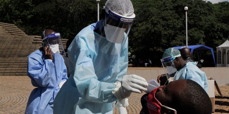 Ученые России обладают опытом разработки вакцин против филовирусов, к которым относится вирус Марбург – Центр им. Чумакова